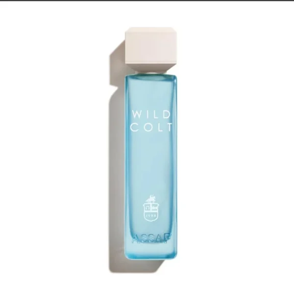 ASSAF Wild Colt